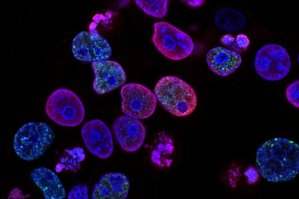 Molecular Raw Materials