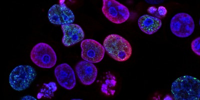 Detection Kits (Residue & Contaminant)